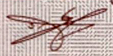 Подпись GEO19